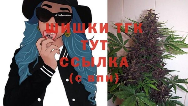 ешки Пестово