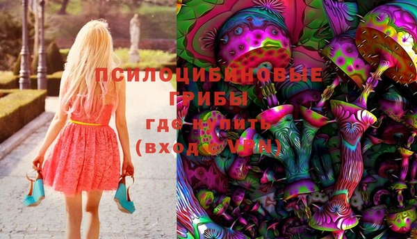 ешки Пестово