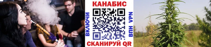 Марихуана VHQ  Купить закладки  Шахунья 